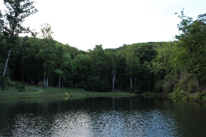 Father's Day Pond